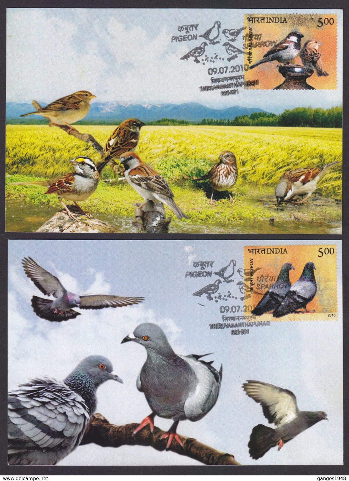 Sparrows & Pegeon 2  Maximum Cards New 2010  # 20110  India - Sparrows
