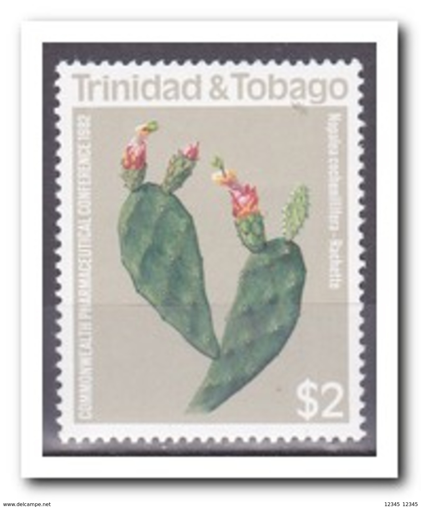 Trinidad & Tobago 1982, Postfris MNH, Cacti - Trinidad & Tobago (1962-...)