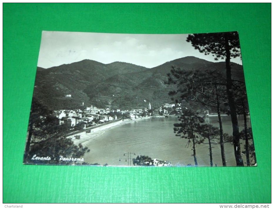 Cartolina Levanto - Panorama 1952 - La Spezia