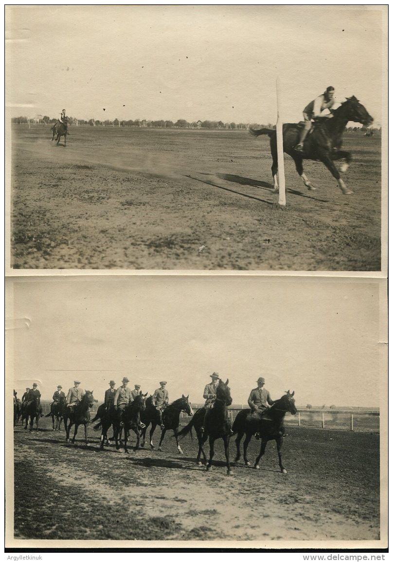 KING EDWARD VIII ROYAL TOUR COONAMBLE HORSE FACING NEW SOUTH WALES 1920 - Other & Unclassified