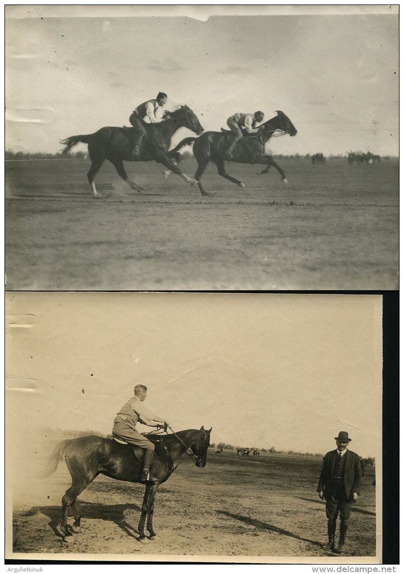 KING EDWARD VIII ROYAL TOUR COONAMBLE HORSE FACING NEW SOUTH WALES 1920 - Other & Unclassified