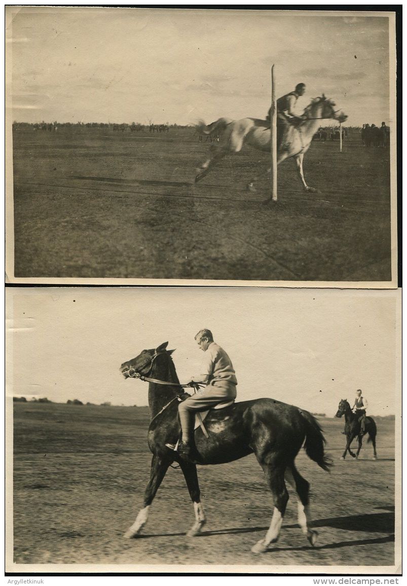 KING EDWARD VIII ROYAL TOUR COONAMBLE HORSE FACING NEW SOUTH WALES 1920 - Other & Unclassified