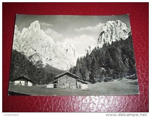 Cartolina Dintorni San Martino Di Castrozza 1950 Ca - Trento