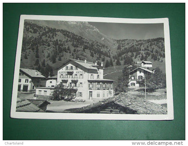 Cartolina Bellamonte (Trento) - Albergo Antico 1952 - Trento