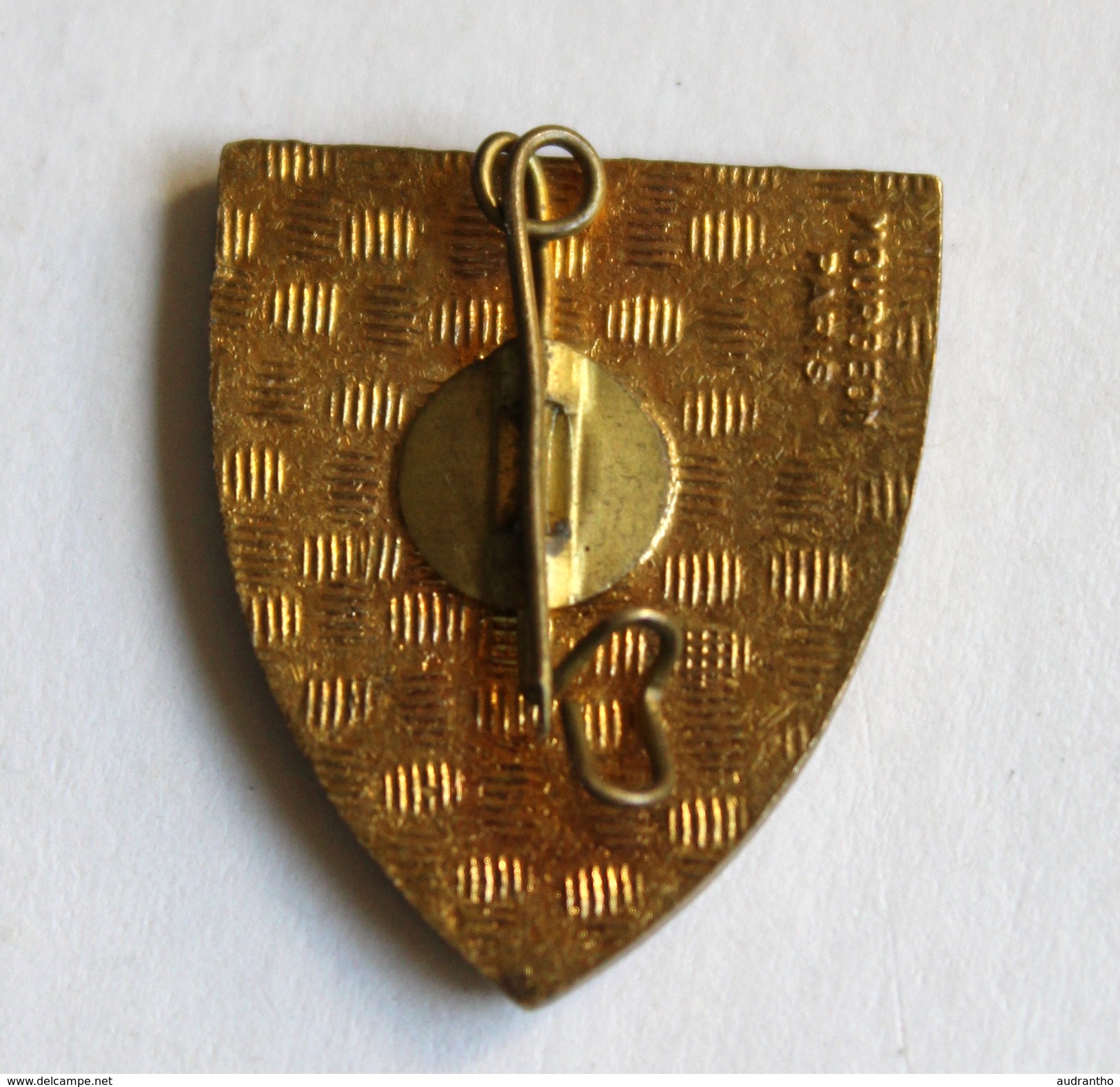 Broche Insigne Rare CEA France Accordéon Communauté Européenne De L'accordéon Mourgeon Paris - Objets Dérivés