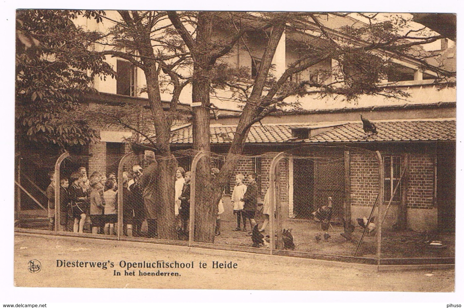 B-6350    KALMTHOUT-HEIDE : Openluchtschool : In Het Hoenderren - Kalmthout