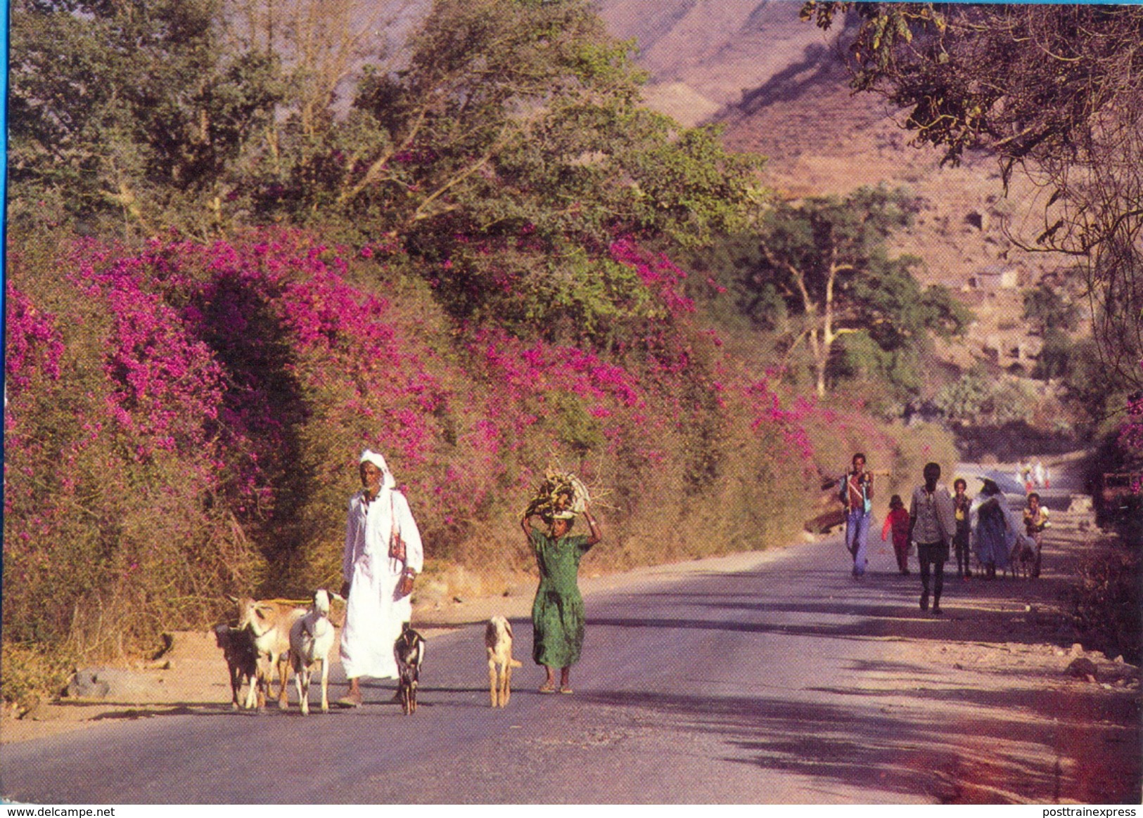 Eritrea. Ila Abered- The Province Of Senhert.. - Eritrea