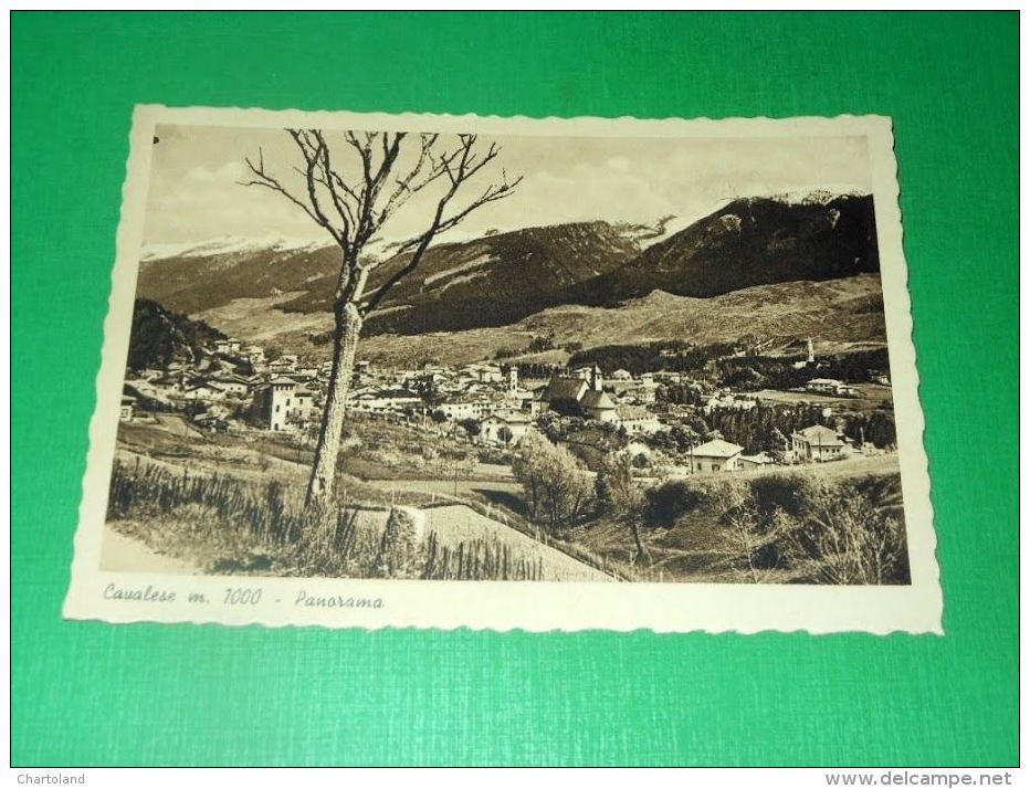 Cartolina Cavalese ( Trento ) - Panorama 1940 Ca - Trento