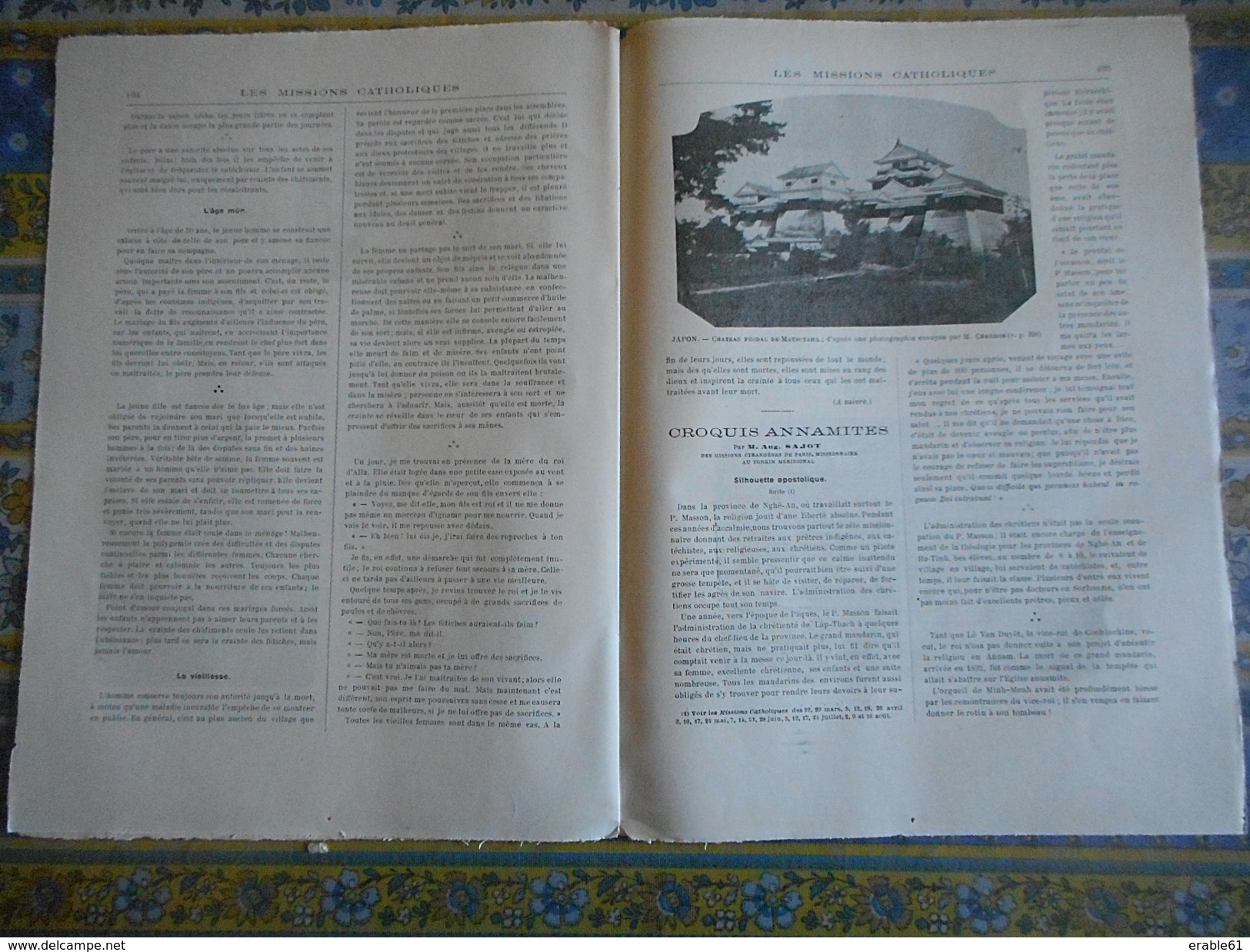 LES MISSIONS 23/08/ 1901 JAPON HIRAIJO YAWATAHAMA YOSHIDA MATSUYAMA CHATEAU UCHINOKO JARDIN ALGERIE GHARDAIA NIGER ALLA - Other & Unclassified