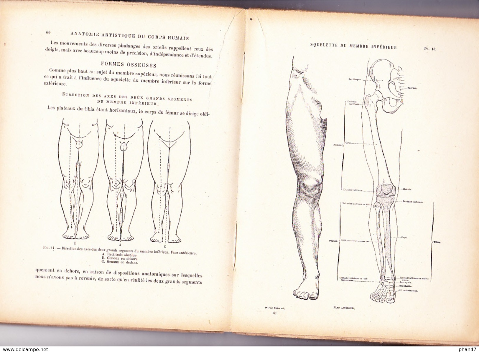 NOUVELLE ANATOMIE ARTISTIQUE; ELEMENTS D'ANATOMIE: L'HOMME Par Docteur Paul RICHER, Librairie Plon 1946 - Art