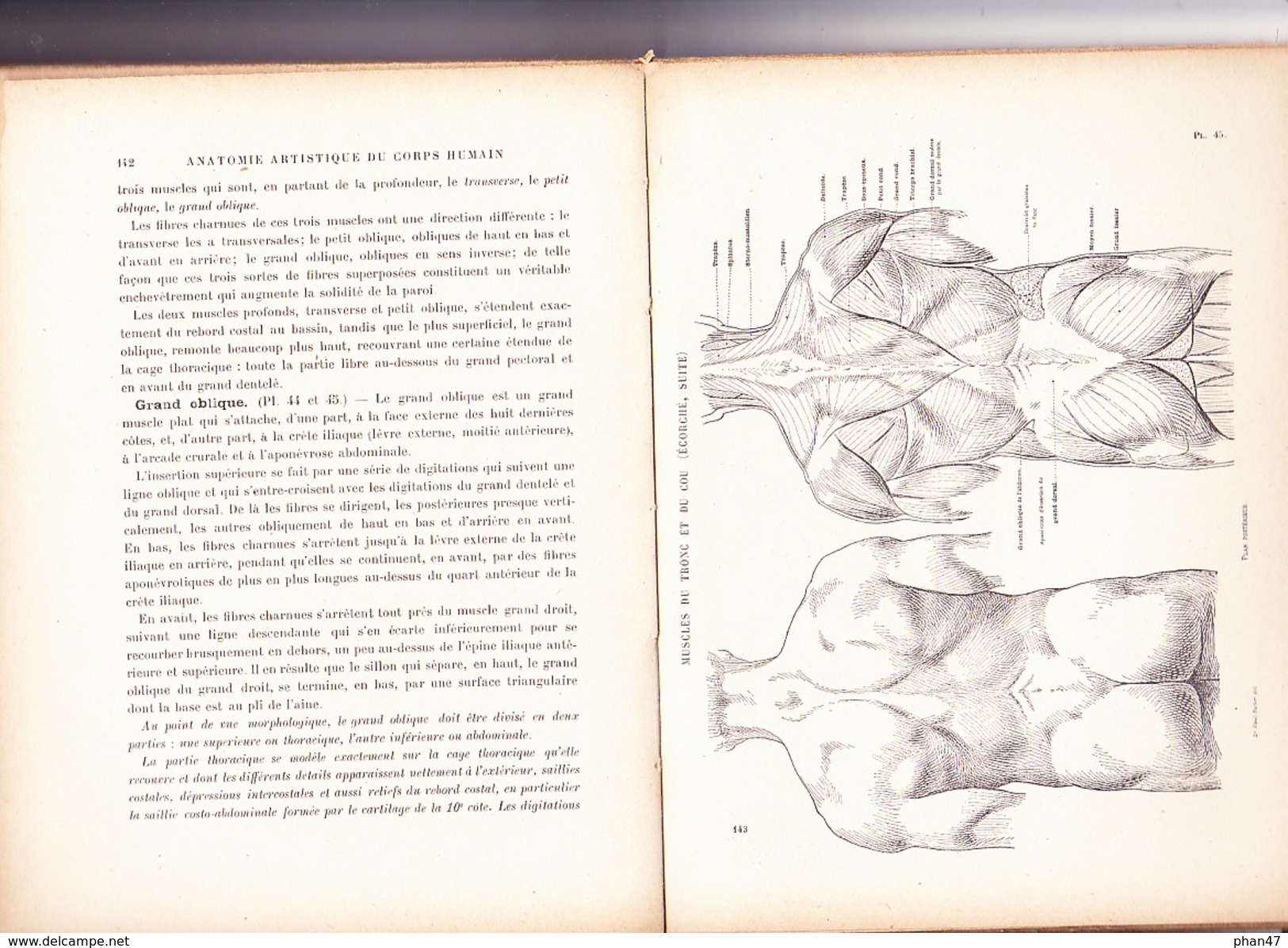NOUVELLE ANATOMIE ARTISTIQUE; ELEMENTS D'ANATOMIE: L'HOMME Par Docteur Paul RICHER, Librairie Plon 1946 - Art