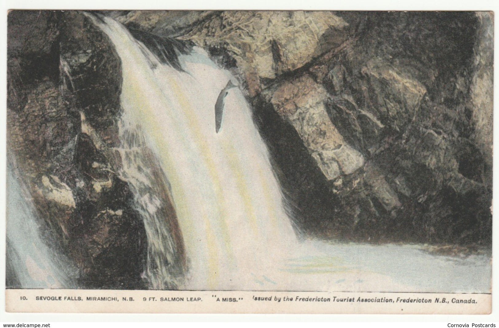 Sevogle Falls, Miramichi, New Brunswick, C.1905 - Fredericton Tourist Association Postcard - Other & Unclassified