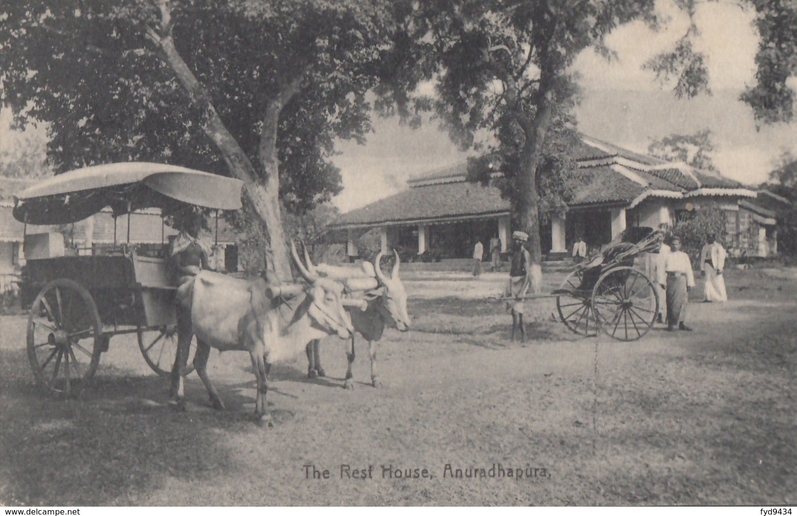 CPA - Anuradhapura - The Resf House - Sri Lanka (Ceylon)