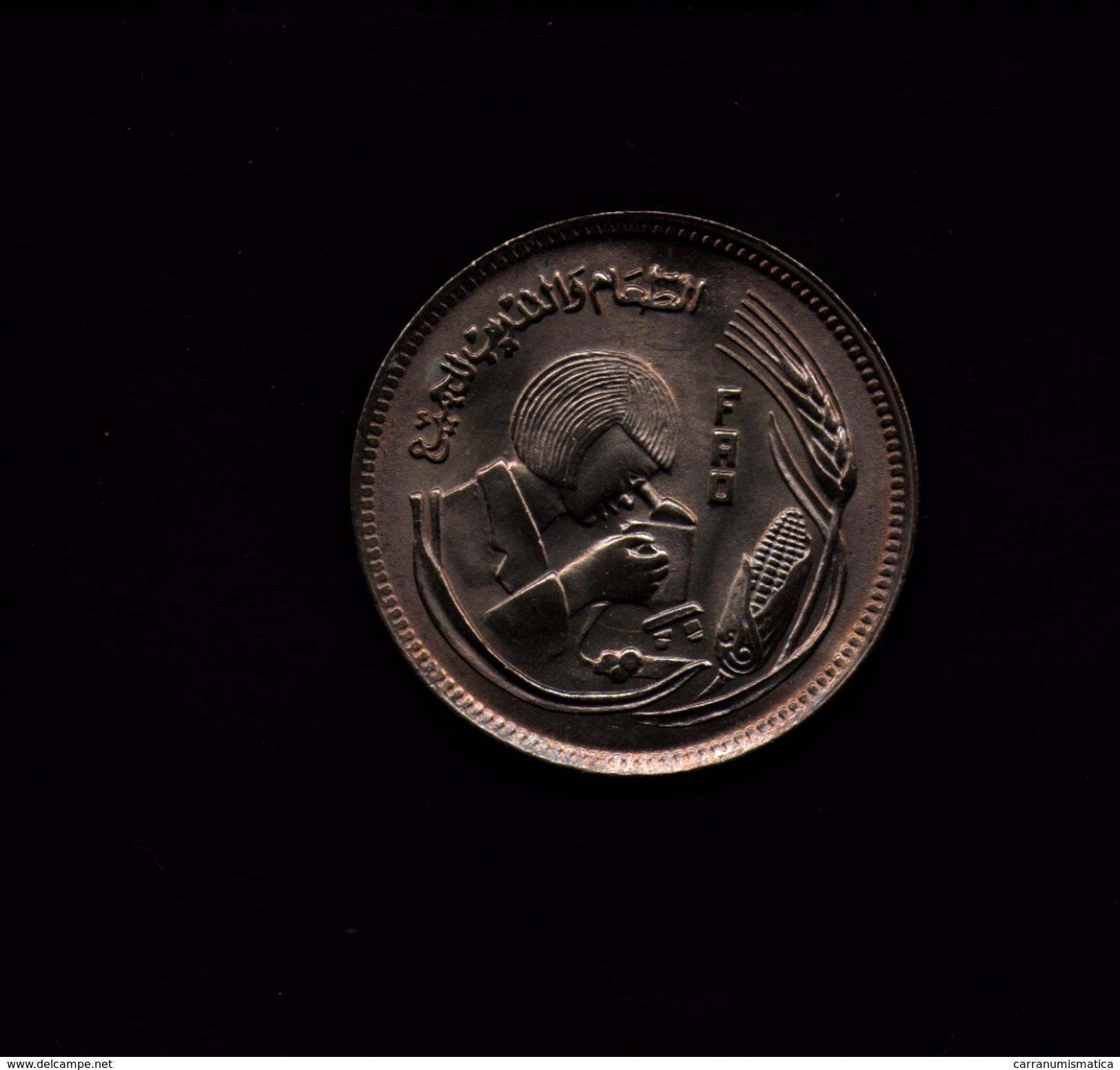 EGITTO 5 PIASTRES 1978 FAO - Egitto