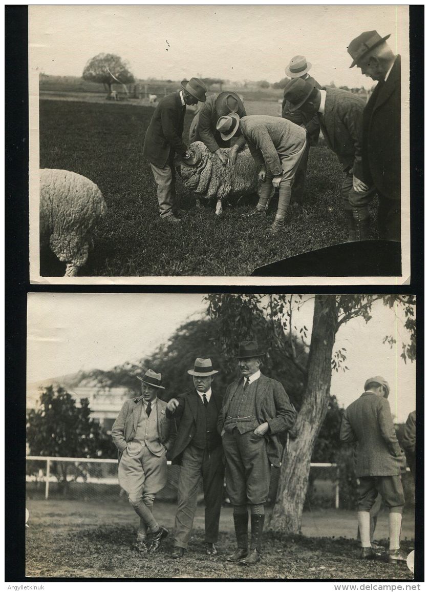 PRINCE OF WALES EDWARD 8th AUSTRALIA ROYAL TOUR SHEEP COWS AGRICULTURE 1920 - Famous People