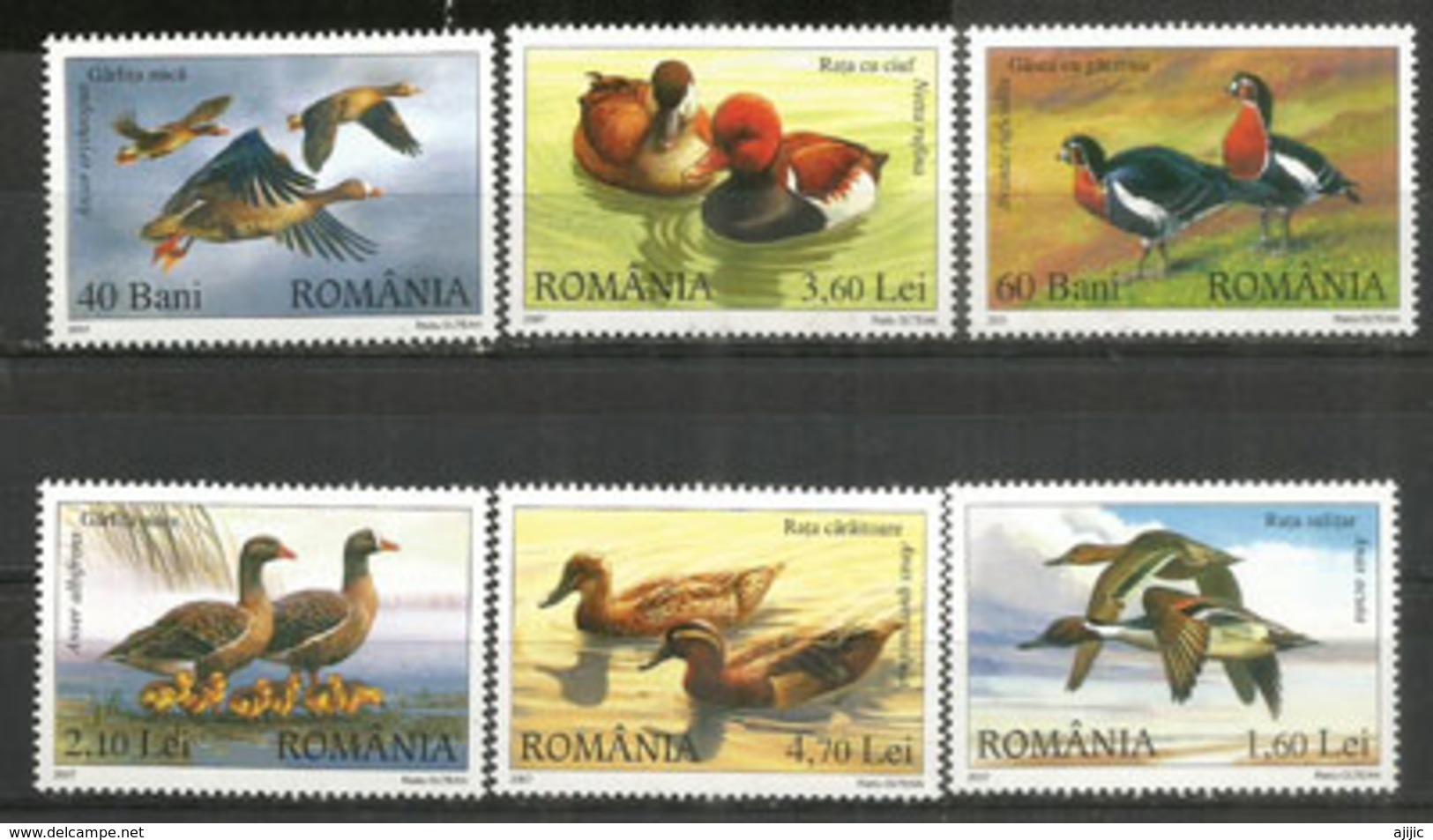 Oies Sauvages Du Delta Du Danube (patrimoine Mondial De L'Unesco Depuis 1991) 6 Timbres Neufs ** Côte 12,00 &euro; - Ganzen