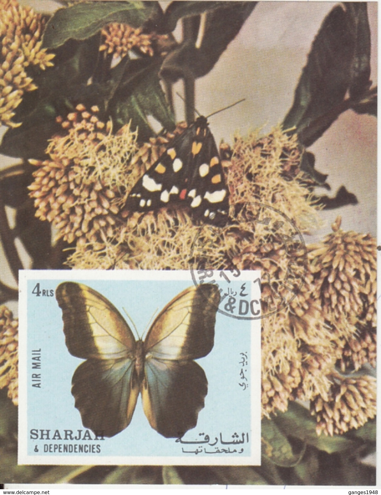 Sharjah  Middle East   Butterflies  Papillons  Insects  Fauna   Cto  Used  Miniature Sheet   # 75317 - Farfalle