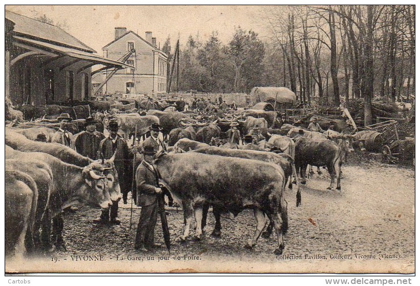 86  VIVONNE  La Gare Un Jour De Foire (TOP) - Vivonne