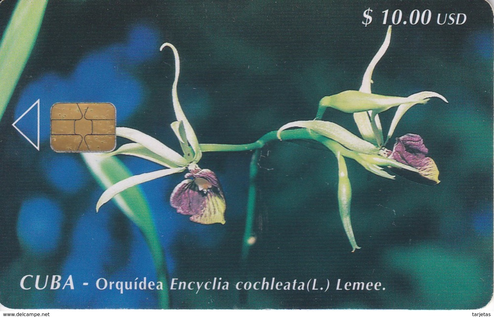 Nº 036 TARJETA DE CUBA DE UNA ORQUIDEA (FLOR-FLOWER) - Cuba