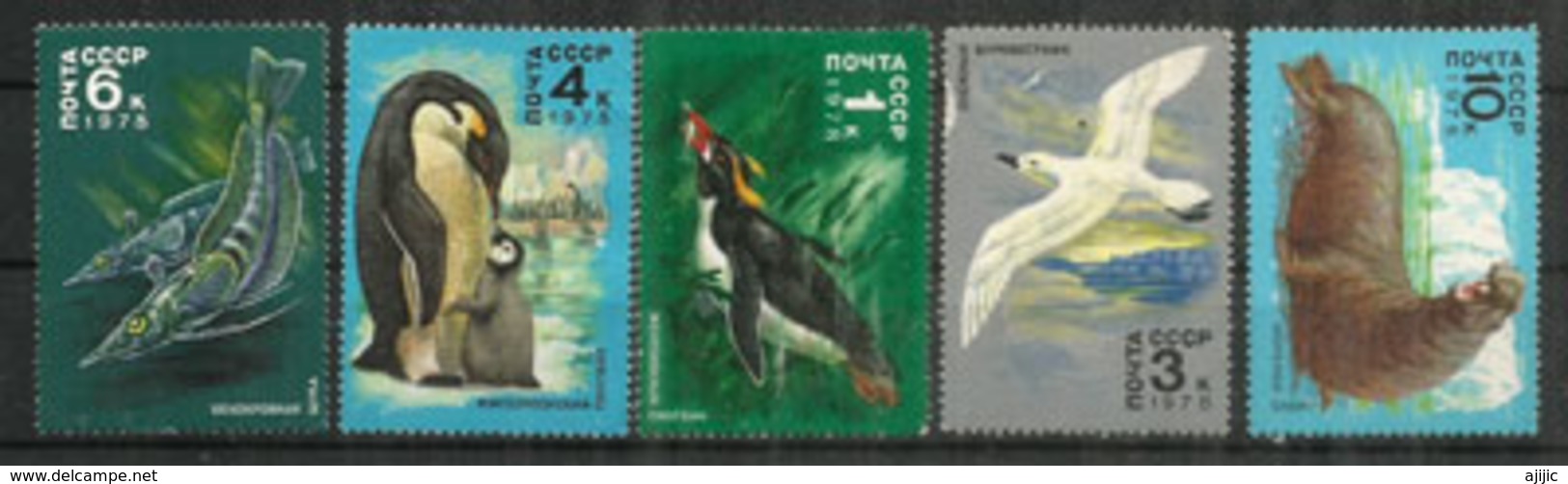 Faune De L'Antarctique.  5 Timbres Neufs ** - Faune Antarctique