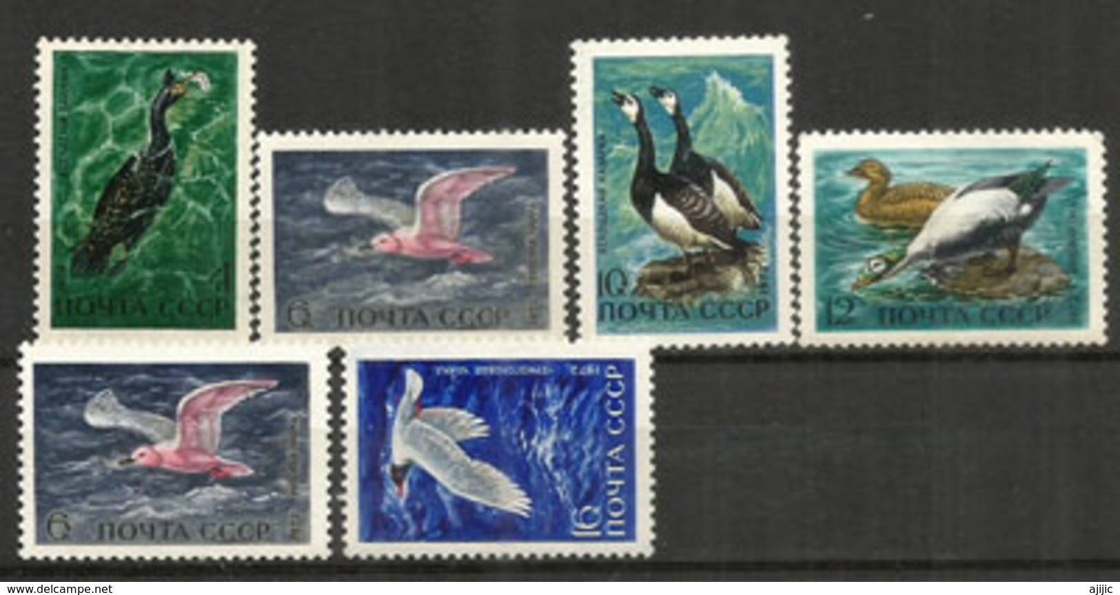 Cormorans Et Oiseaux De Mer.  6 Timbres Neufs ** - Faune Arctique