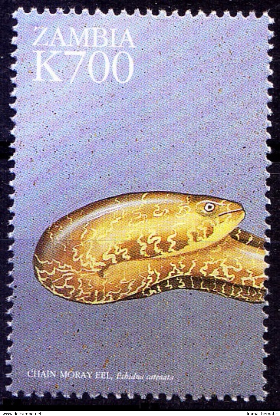 Zambia 1999 MNH, Chain Moray Eel, Echidna Catenata, Marine Life - Marine Life