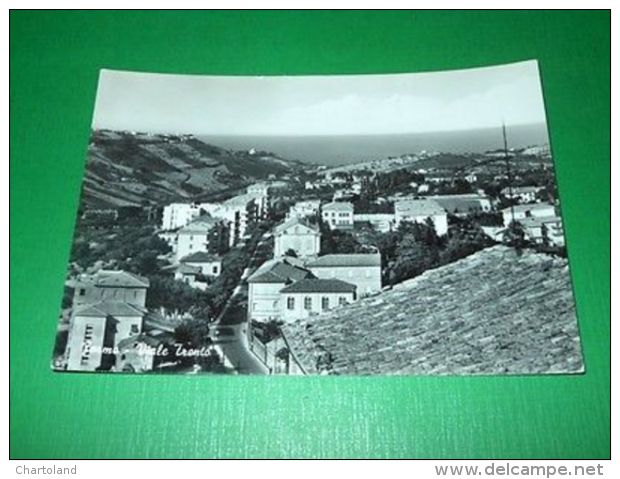 Cartolina Fermo - Viale Trento 1960 Ca - Ascoli Piceno