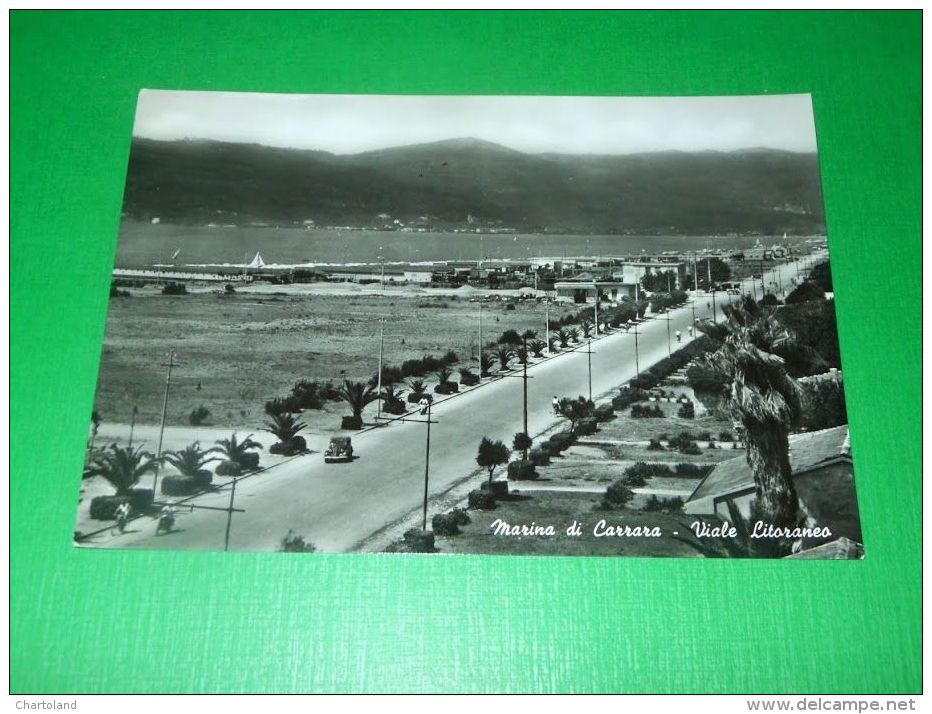 Cartolina Marina Di Carrara - Viale Litoraneo 1957 - Massa