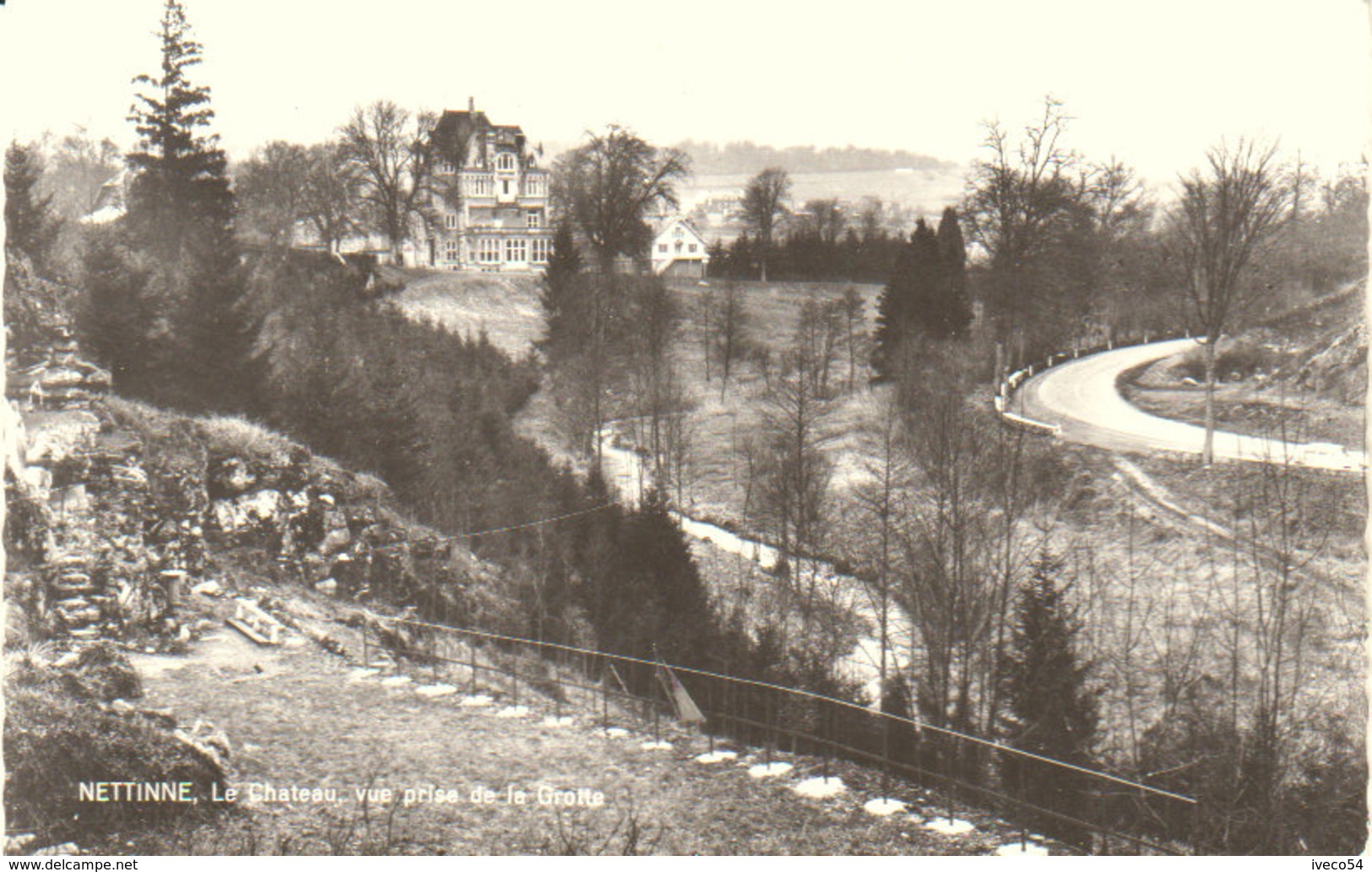 Nettinne   "  Le Château "  Vue Prise De La Grotte - Somme-Leuze