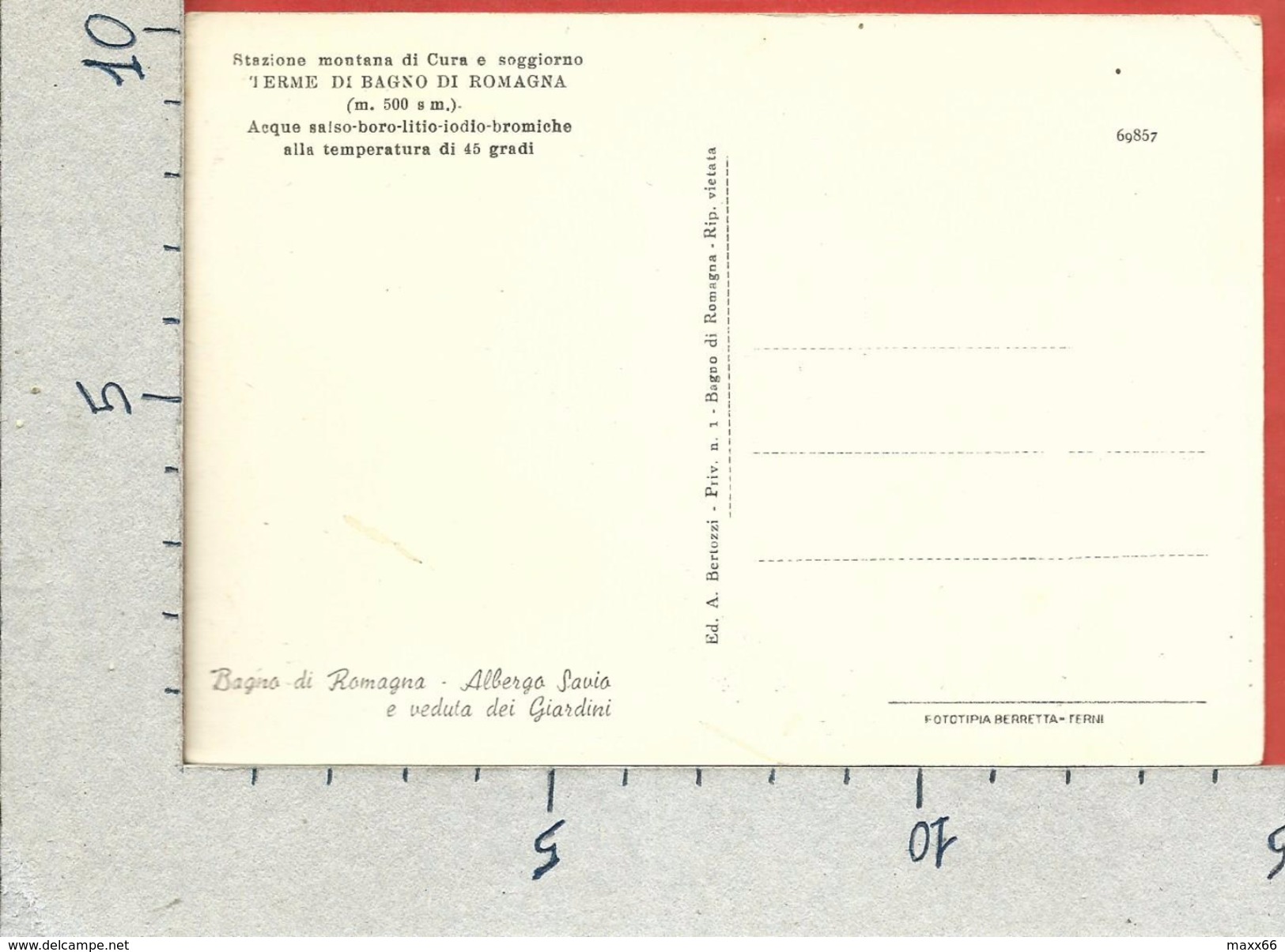 CARTOLINA NV ITALIA - BAGNO DI ROMAGNA (FC) - TERME - Albergo Savio E Veduta Dei Giardini - 10 X 15 - Forlì