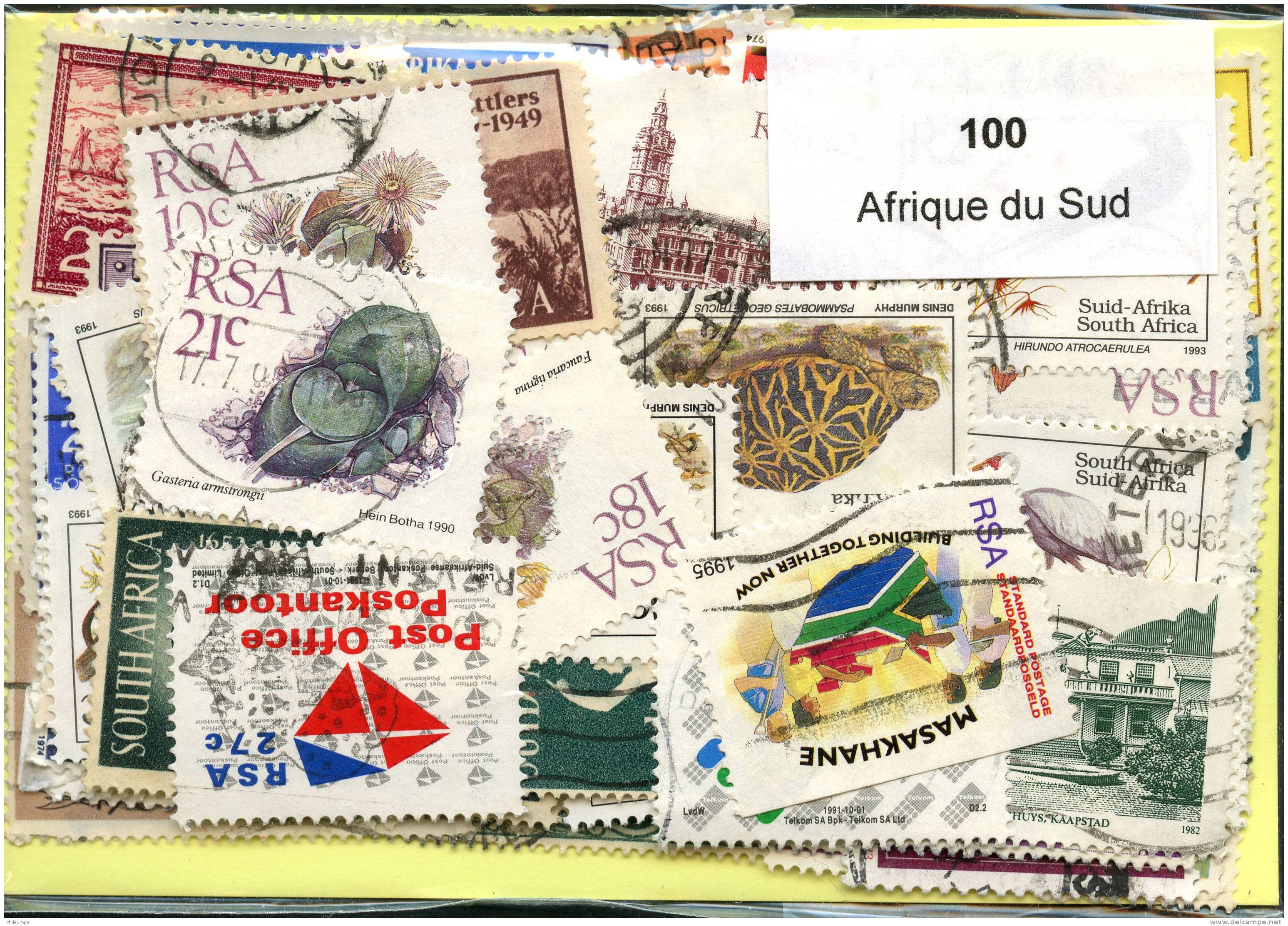 Lot 100 Timbres Afrique Du Sud - Lots & Kiloware (max. 999 Stück)