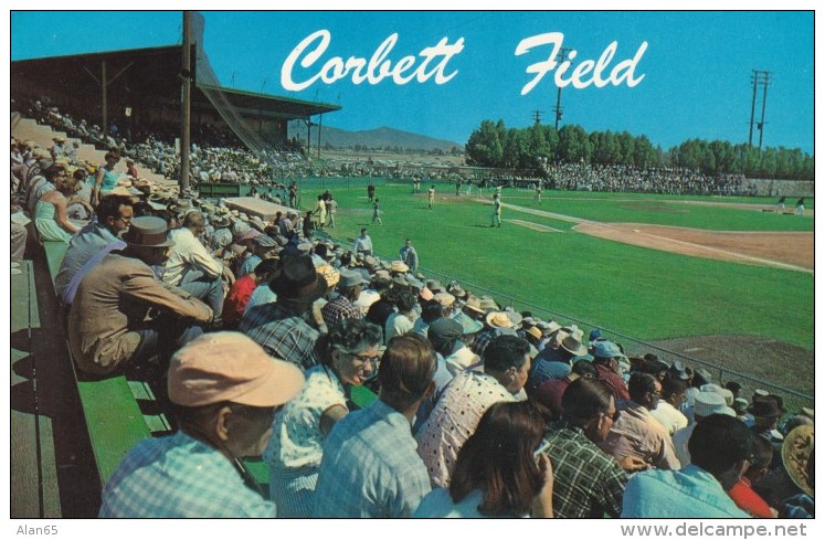 Tucson Arizona, Corbett Field Baseball Park Stadium Cleveland Indians Winter Training Camp, C1960s Vintage Postcard - Tucson