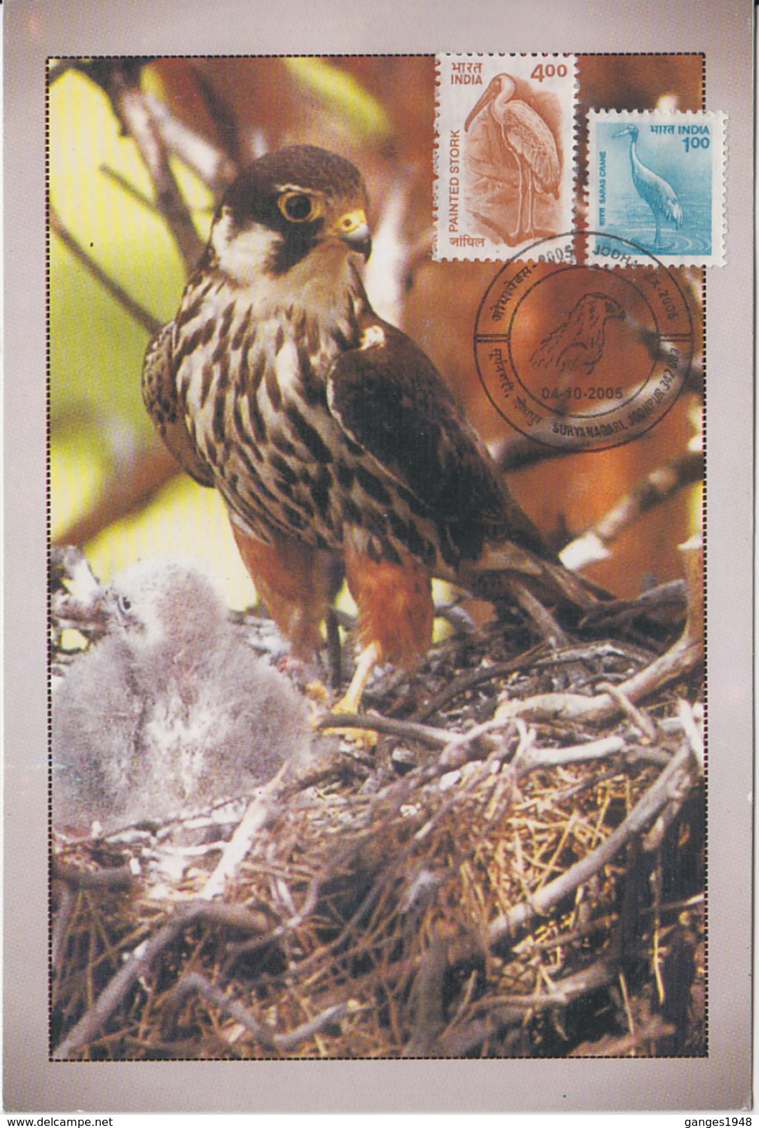 India  2005  Eagle    Bird Of Prey Commemorative Postmark Card # 50136 - Eagles & Birds Of Prey