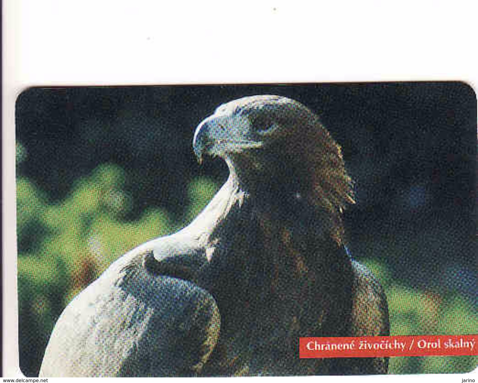 Slovakia, Chip Phonecard 34/1996, Tirage 50 000, Bird, Aigle - Slovaquie