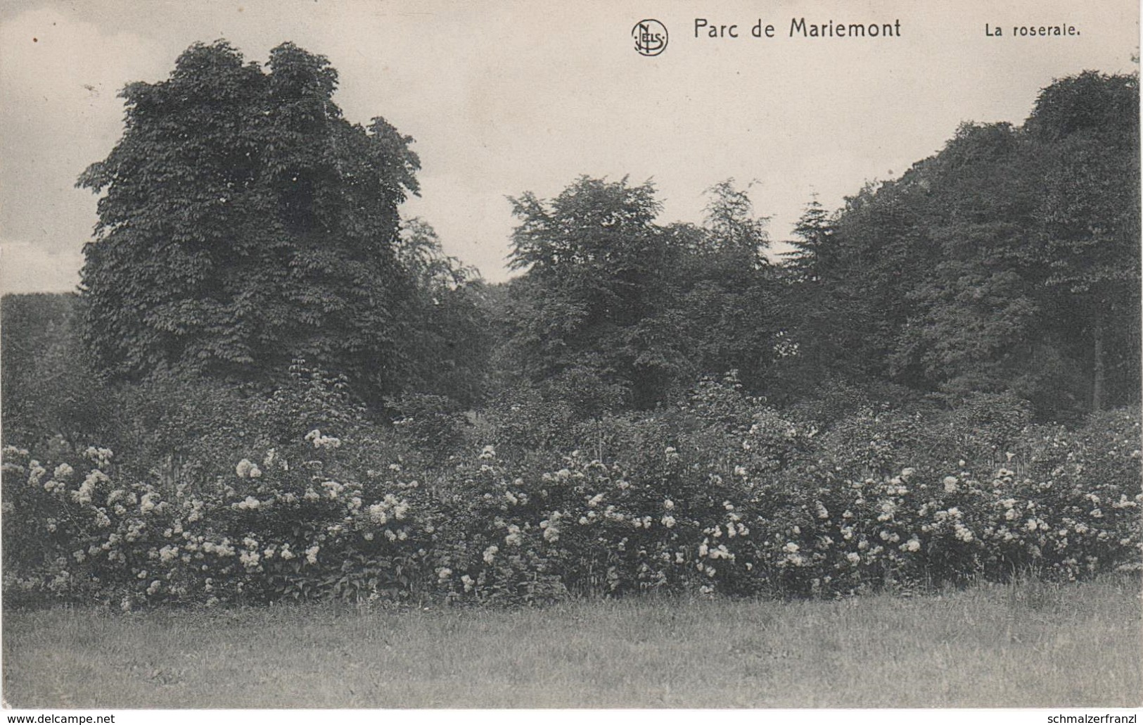 CPA AK Parc De Mariemont La Roseraie A Morlanwelz La Louvière Jolimont Hestre Fayt Lez Manage Hennegau Belgien Belgique - Morlanwelz