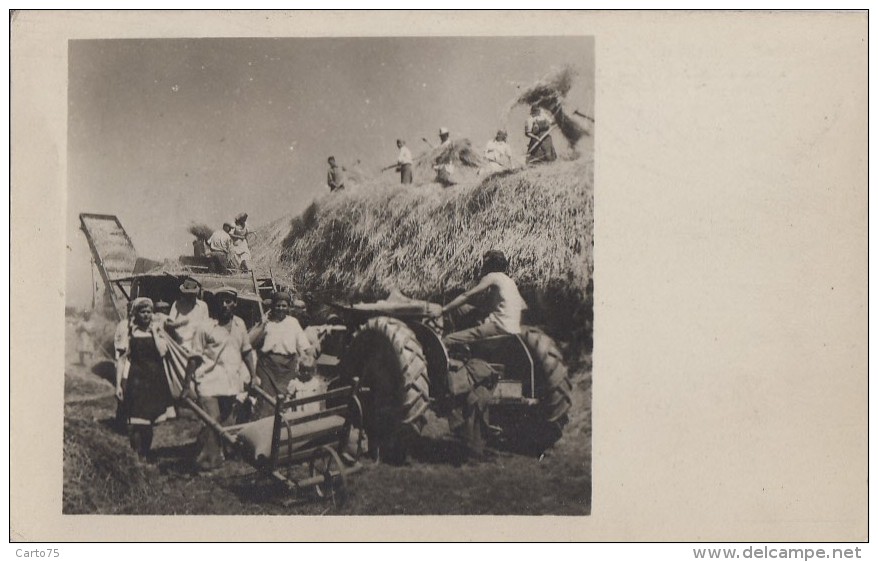 Croatie - Bjelovar - Agriculture Moissons Battage Foin Tracteur - Coopérative "Nikole Domagoja" - 1952 Carte Photo - Croatia