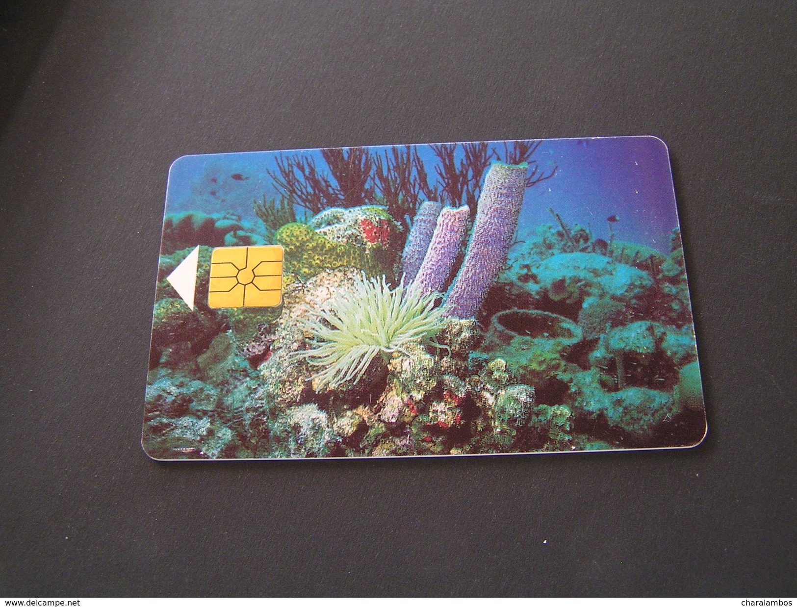 Antilles [Netherlands] Phonecards. - Antilles (Netherlands)