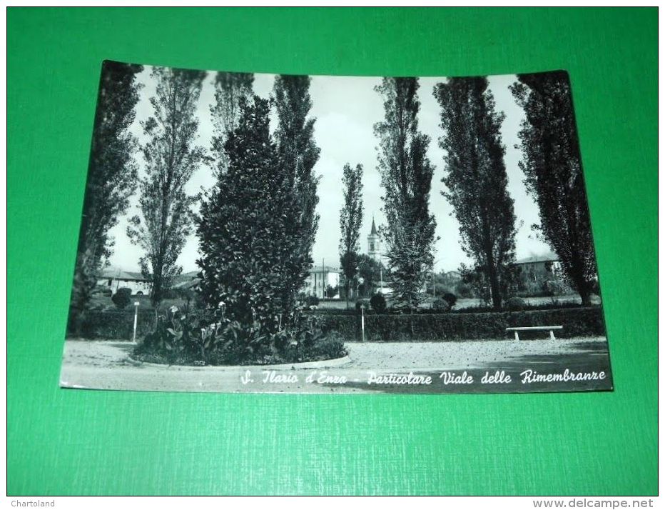 Cartolina Sant'Ilario D'Enza - Particolare Viale Delle Rimembranze 1960 - Reggio Emilia