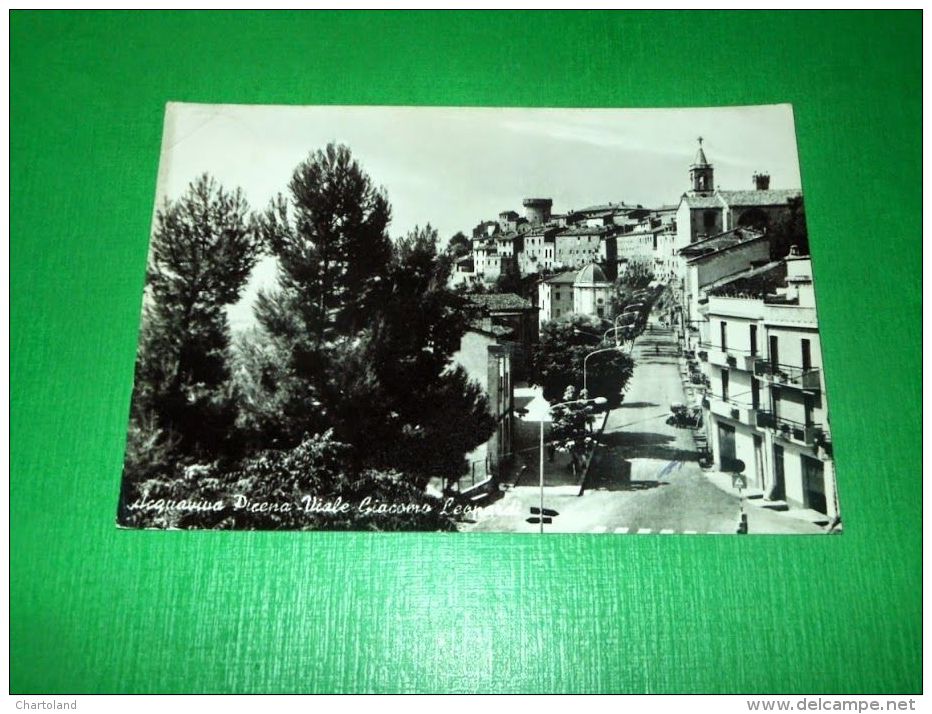 Cartolina Acquaviva Picena - Viale Giacomo Leopardi 1973 - Ascoli Piceno