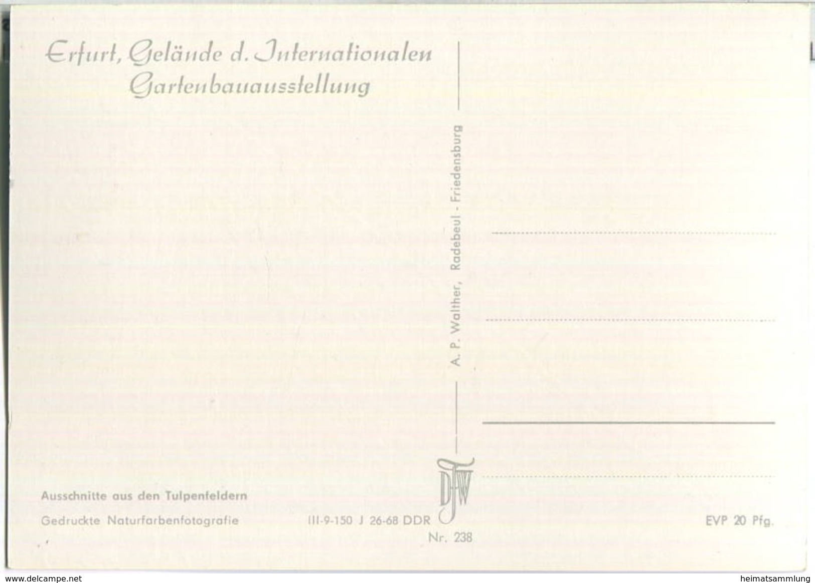 Erfurt - Internationale Gartenbauausstellung - Tulpenfelder - Erfurt