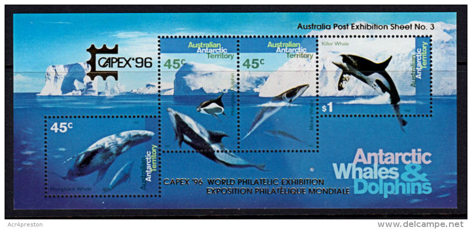 D0231 AUSTRALIAN ANTARCTIC TERRITORY 1995, SG MS112 Whales &amp; Dolphins, CAPEX '96, MNH - Unused Stamps