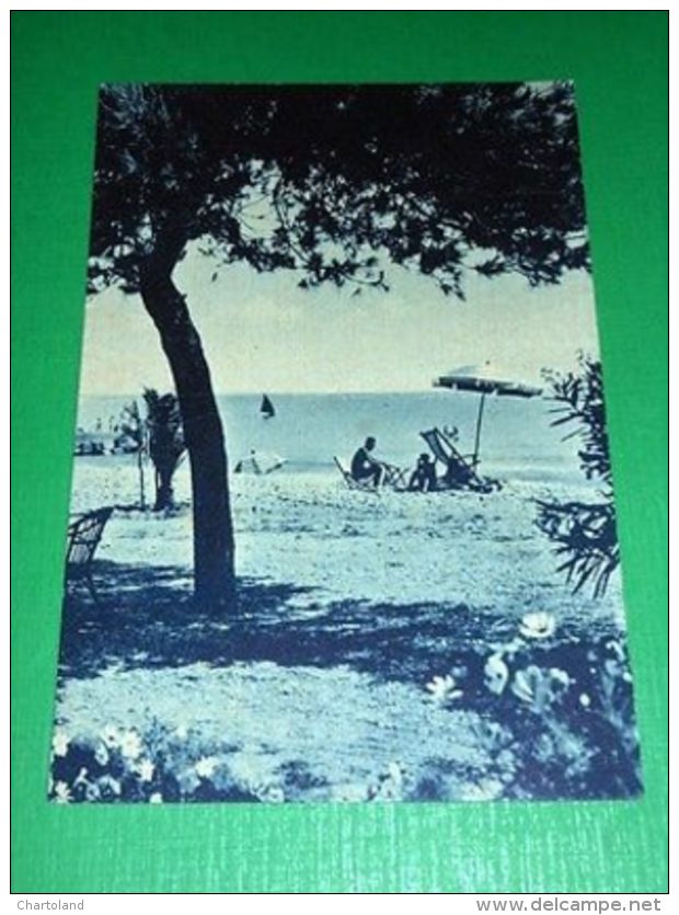 Cartolina Cupra Marittima - Scorcio Di Spiaggia 1954 - Ascoli Piceno