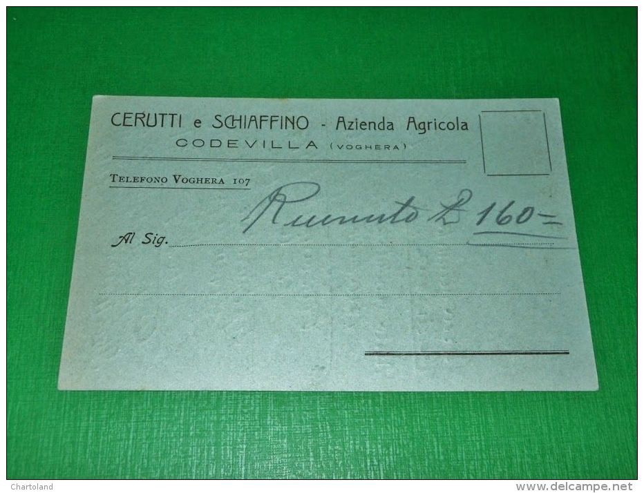 Cartolina Codevilla - Azienda Agricola Cerutti E Schiaffino 1923 - Pavia