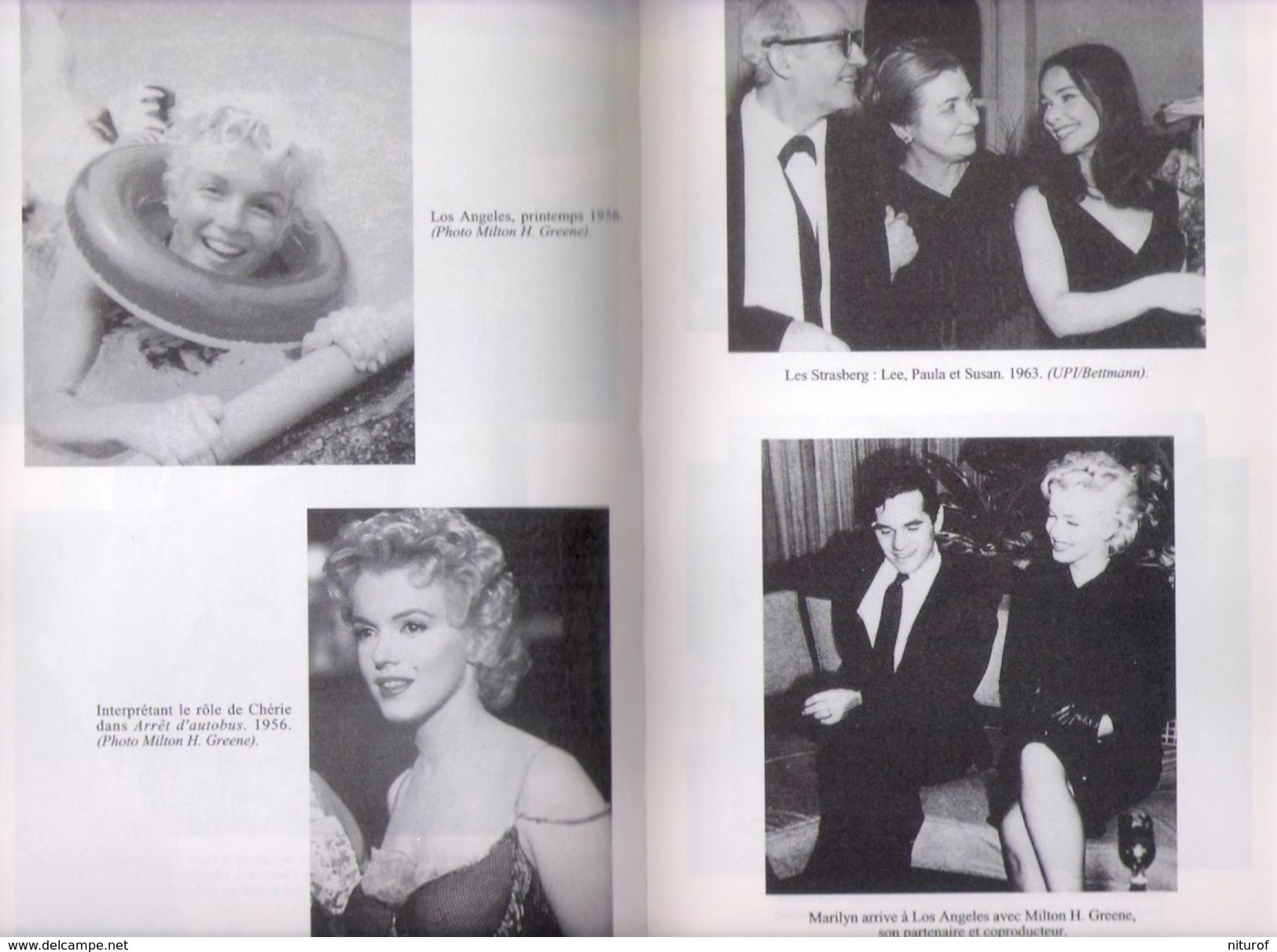 MARILYN MONROE : Biographie Complète Par Donald Spoto - 576 Pages + Photos - Autres & Non Classés