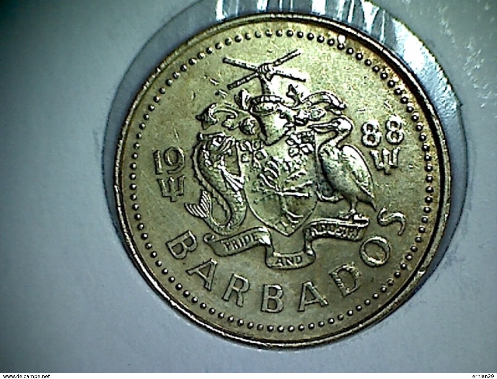 Barbados 5 Cents 1988 - Barbados