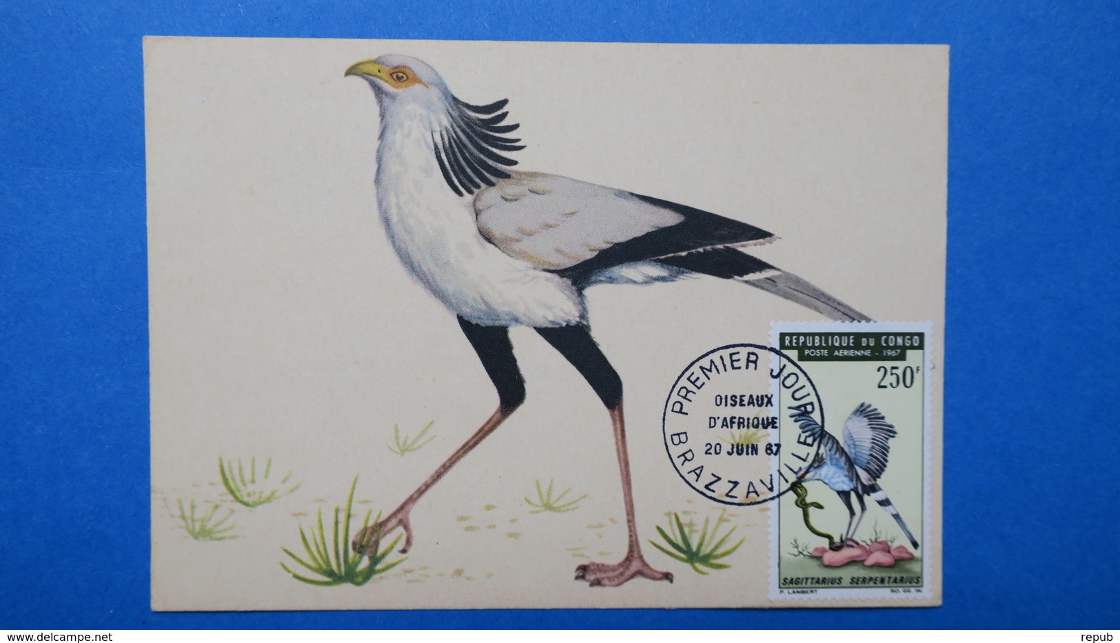 Carte Maximum, Congo, Brazaville ,   Année 1967,  N° PA 52 Oiseaux - Autres & Non Classés