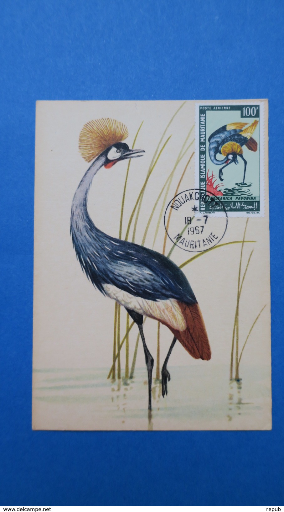 Mauritanie, Carte Maximum, Année 1967 Oiseaux N° PA 64 - Mauritanie (1960-...)