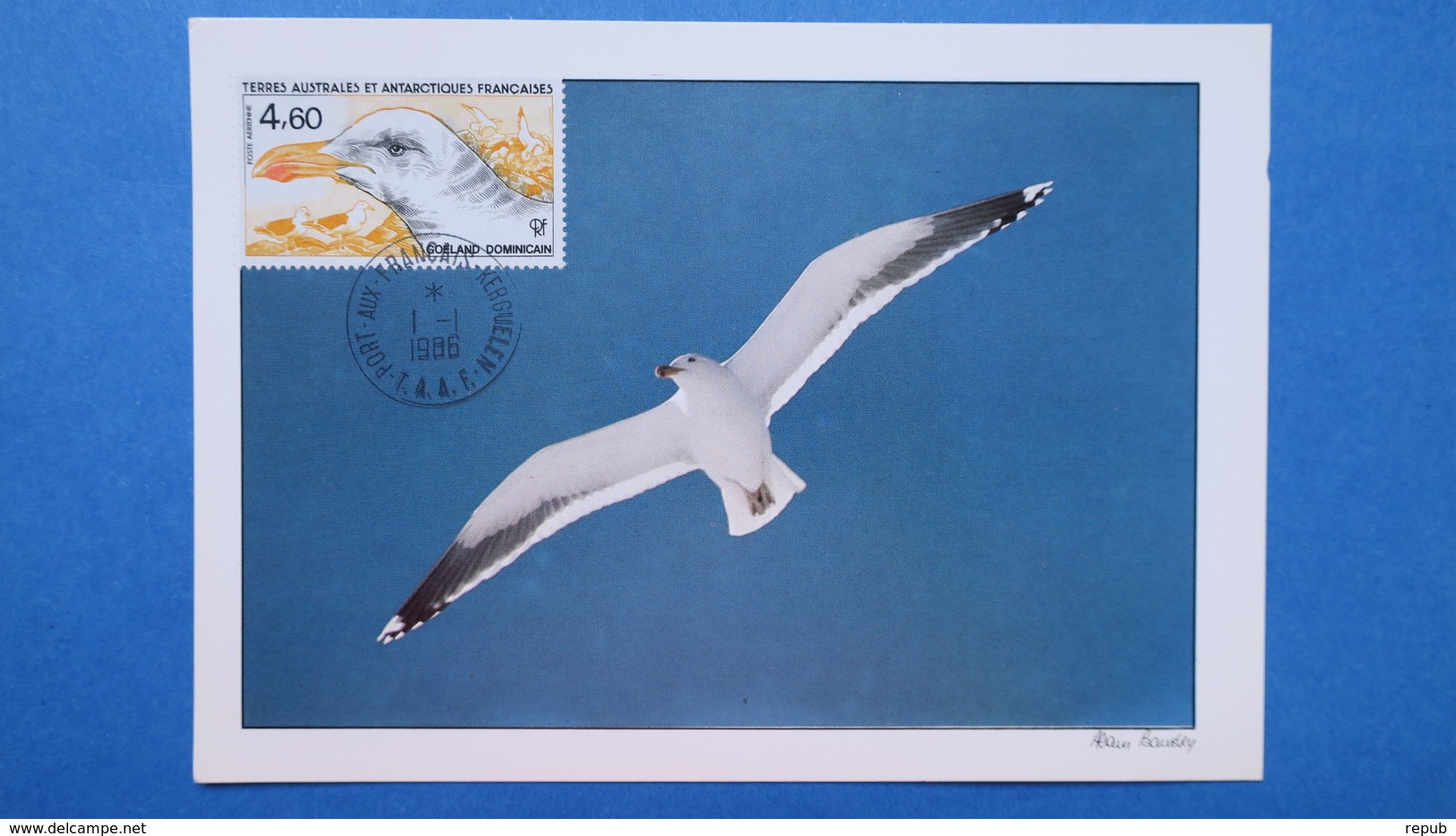 TAAF, Carte-Maximum, Année 1986,    N° PA 92 Goéland Dominicain - FDC