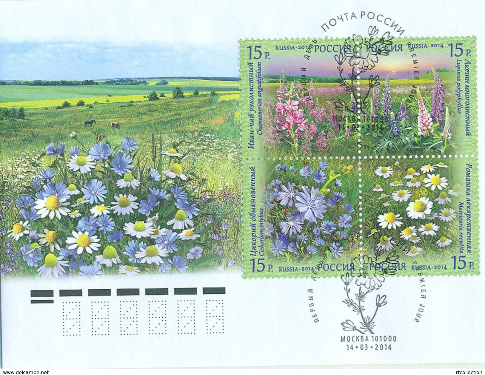 Russia 2014 FDC Flora Wild Flowers Nature Flower Stamps Michel 2027-2030zd Cancellation Place - Moscow - FDC