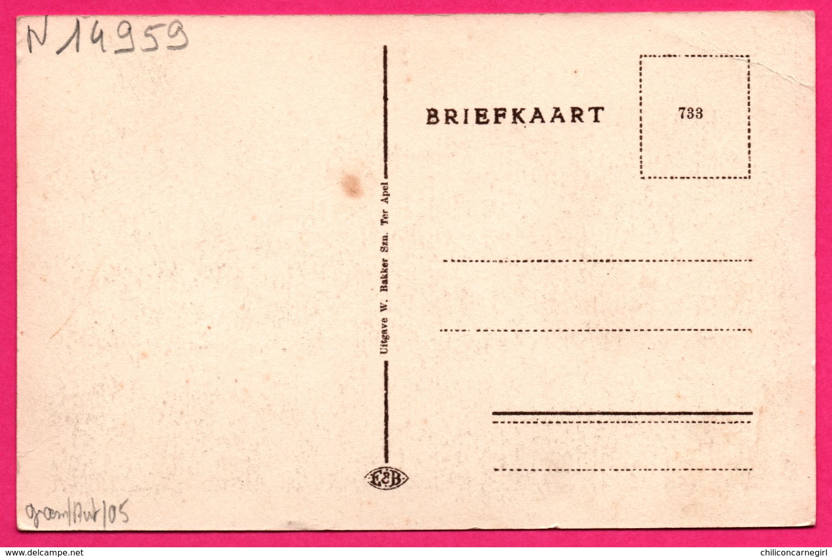 Ter Apel - A.G.O. Dorp - Animée - Uitg. W. BAKKER - Andere & Zonder Classificatie